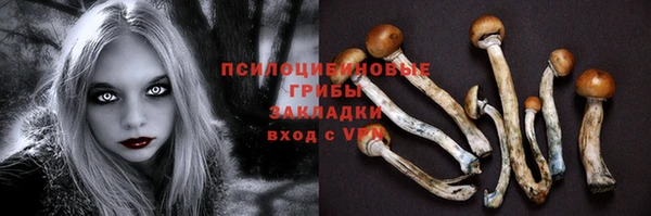 мяу мяу мука Ладушкин